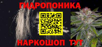 ECSTASY Абакан