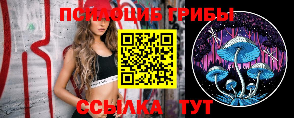 Галлюциногенные грибы Psilocybe Беслан